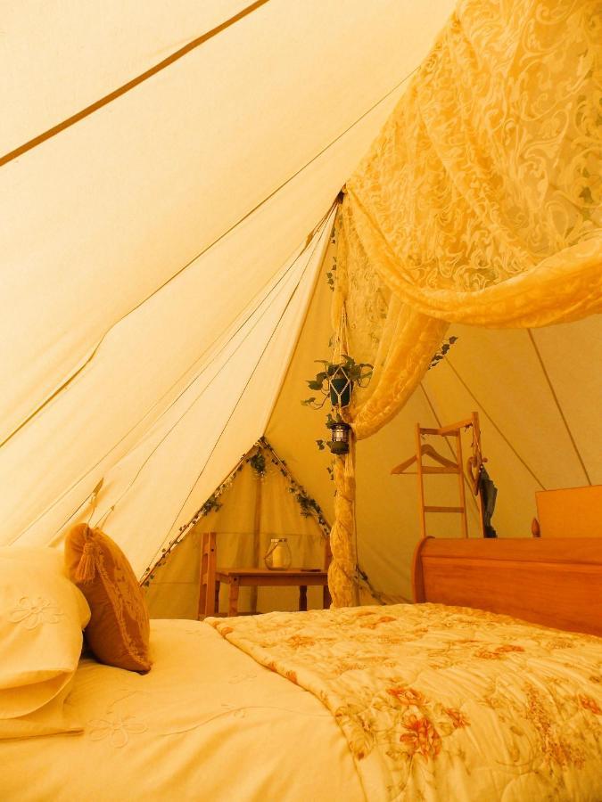 Hope Cottage Bell Tent Retreat Ашбърн Екстериор снимка